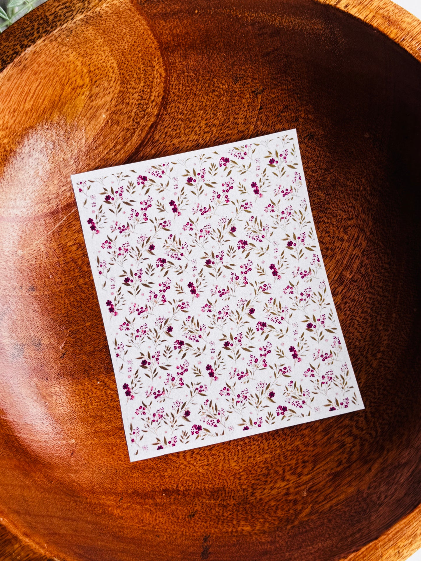 Raspberry & Olive Floral 2 Small Transfer Paper