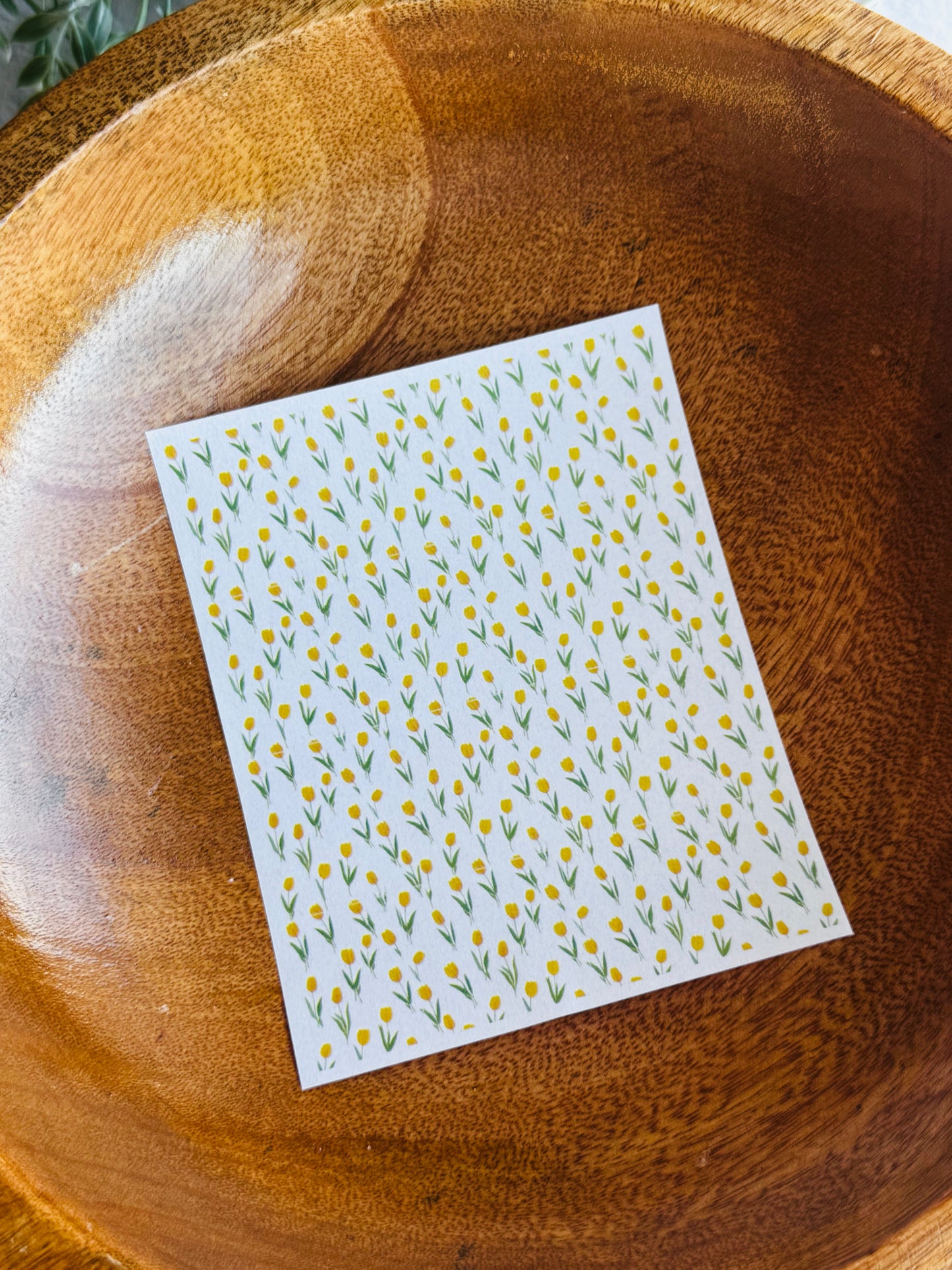 Yellow Tulip Small Transfer Paper
