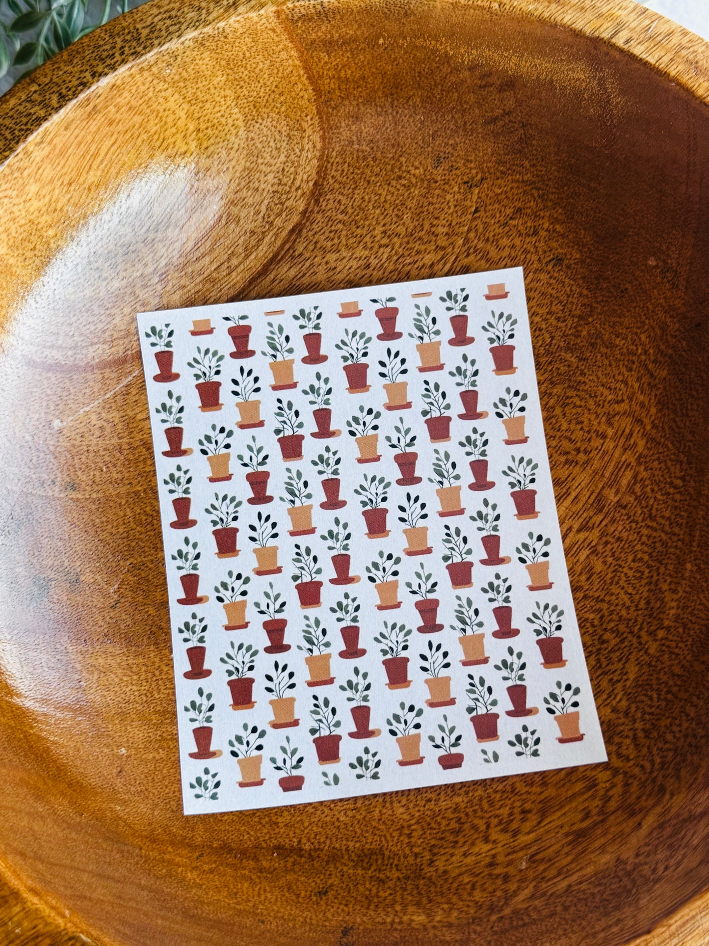 Terracotta Plants Large Transfer Paper
