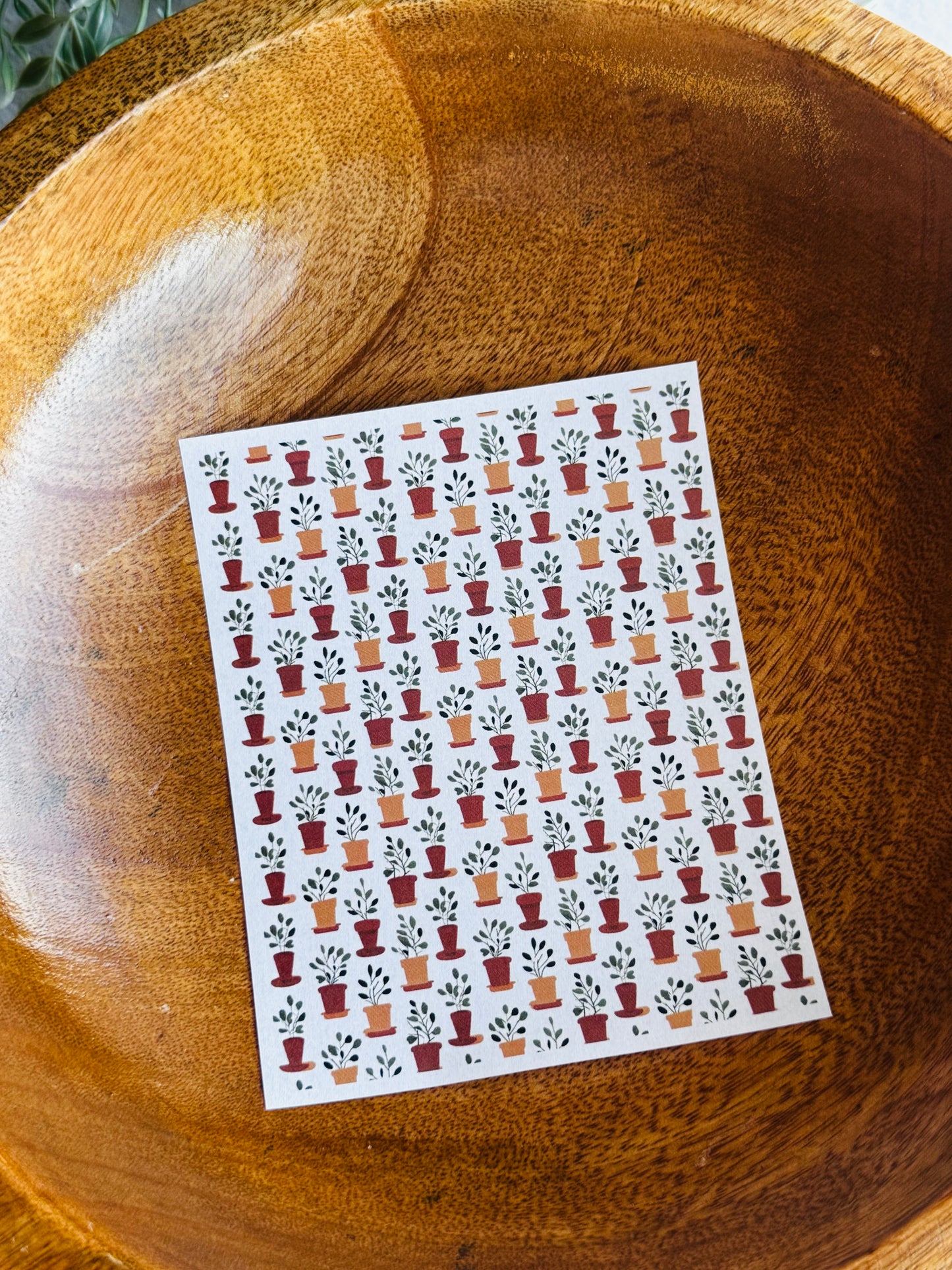 Terracotta Plants Small Transfer Paper