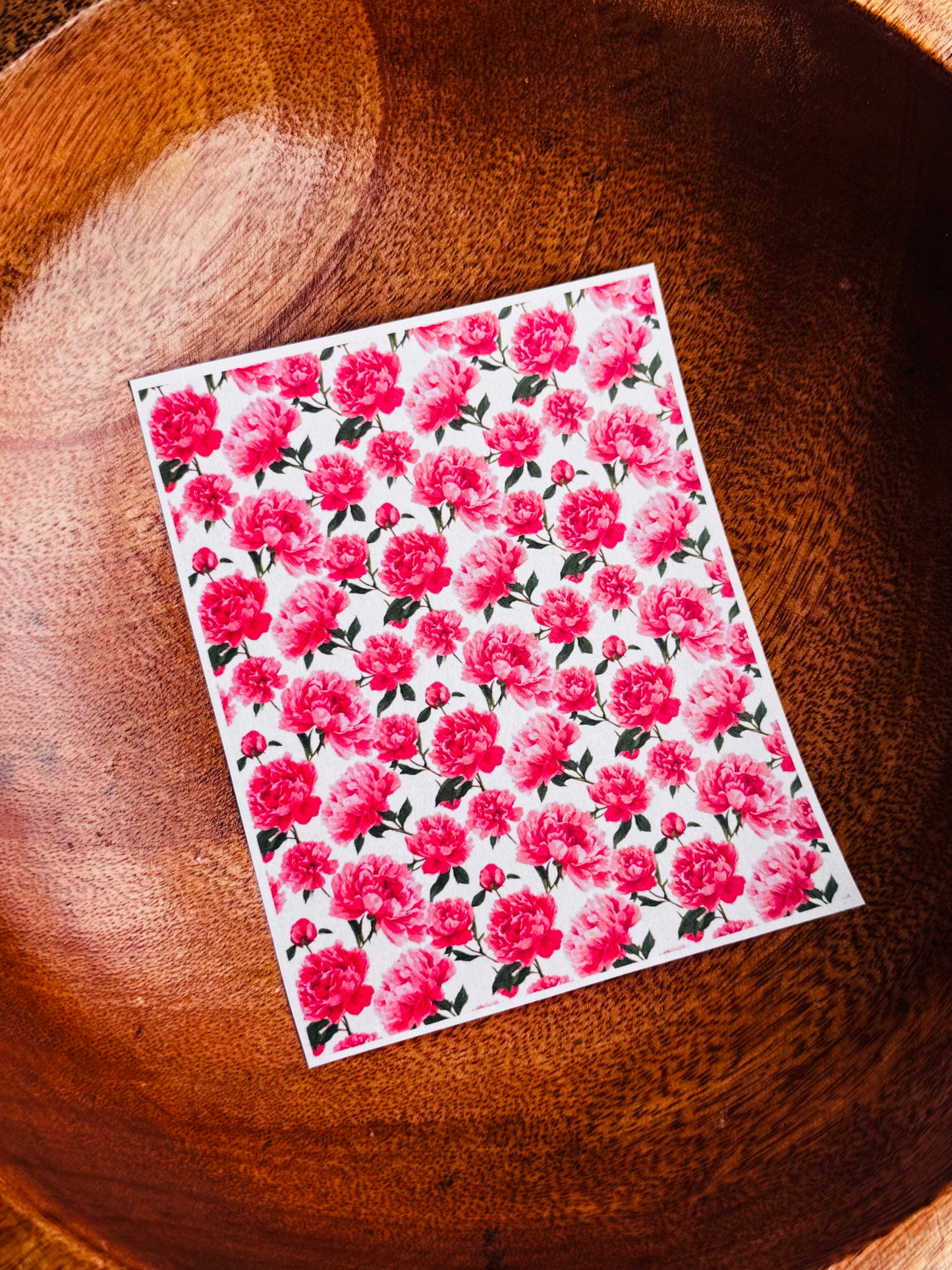 Big Pink Peonies Transfer Paper