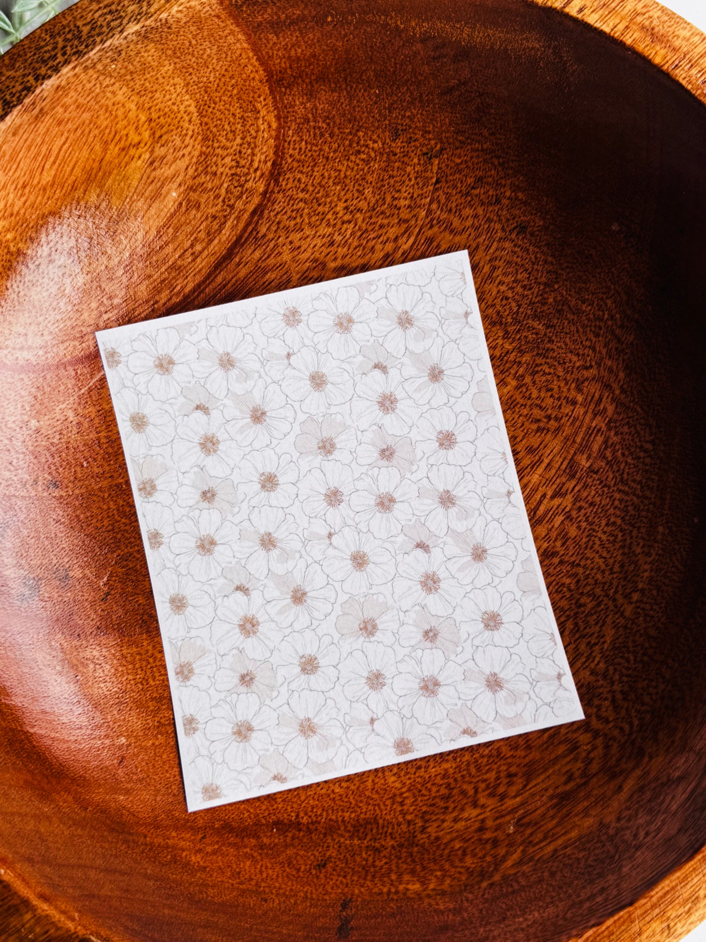 Neutral Anemones Transfer Paper