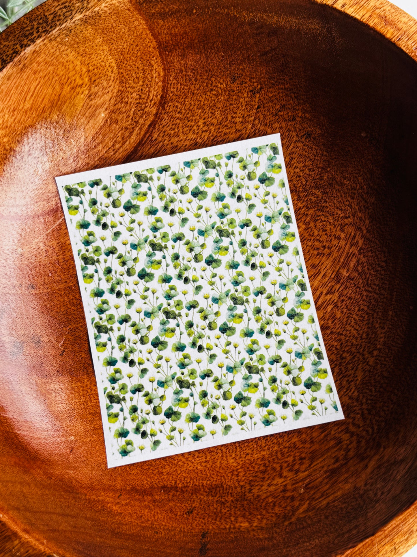 Pressed Clovers 1 Transfer Paper