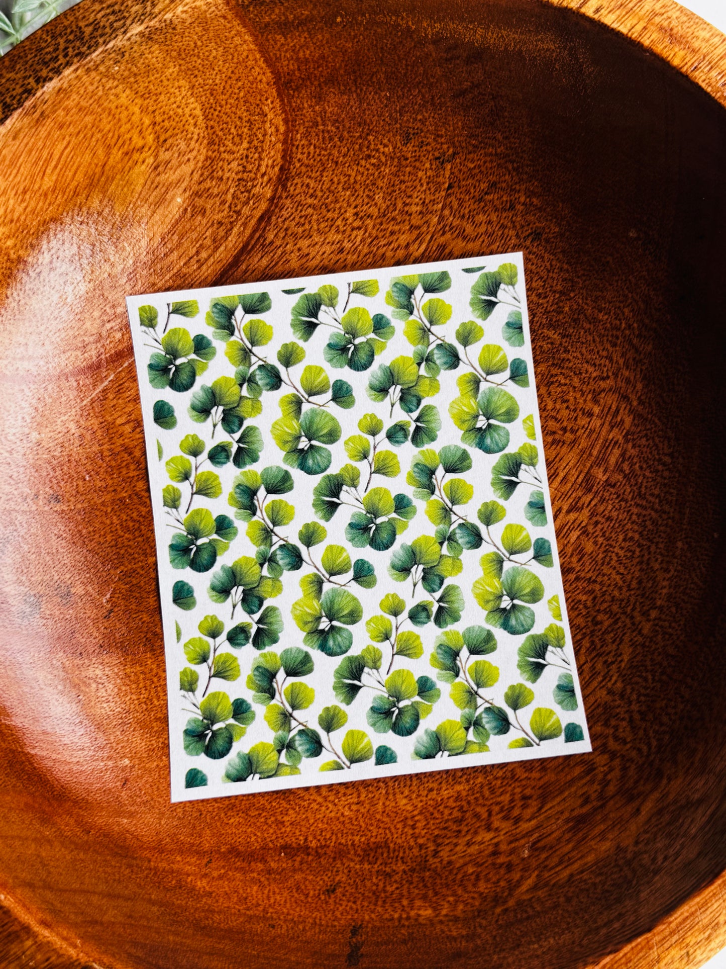 Pressed Clovers 2 Transfer Paper