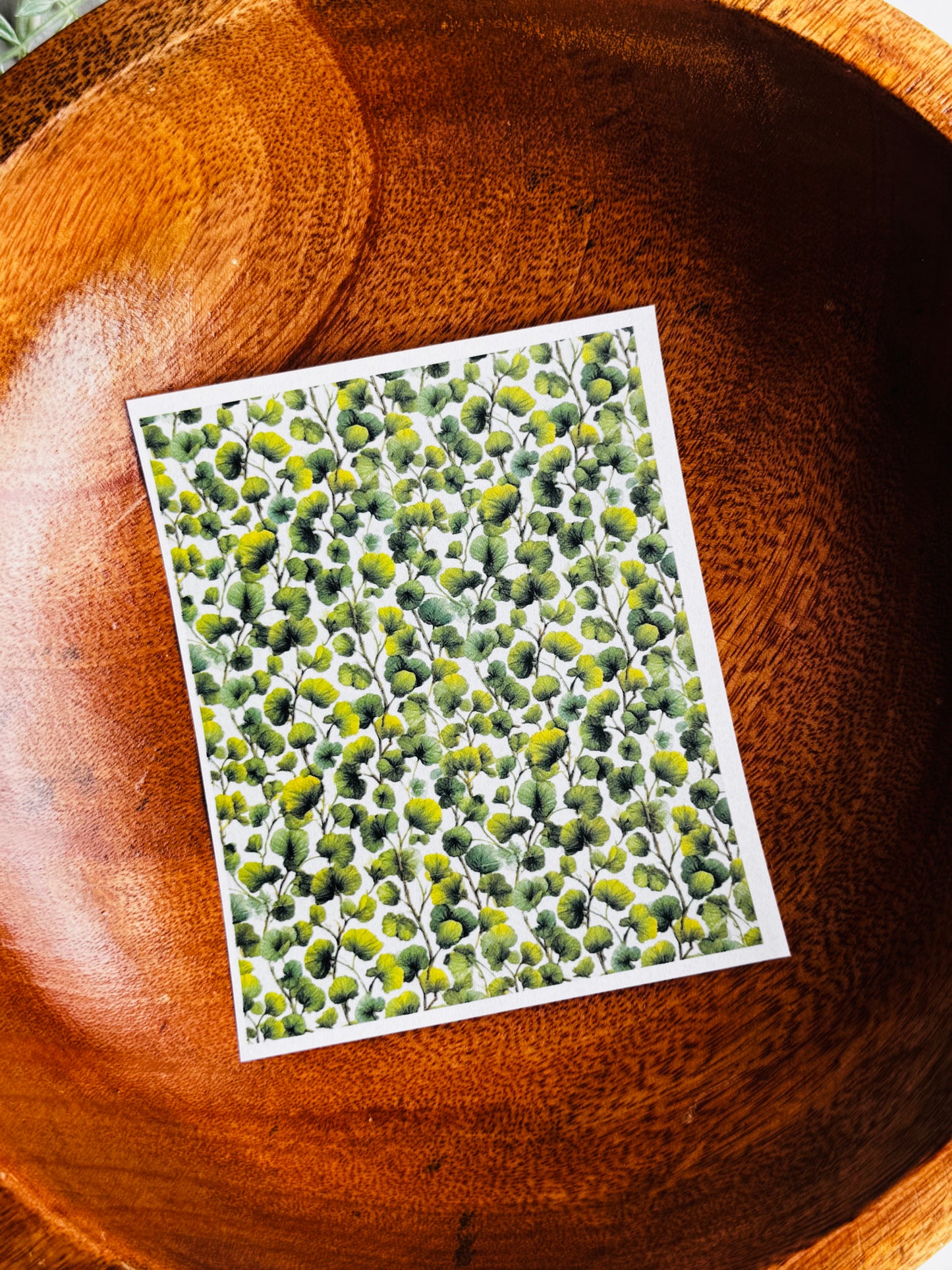 Pressed Clovers 3 Transfer Paper