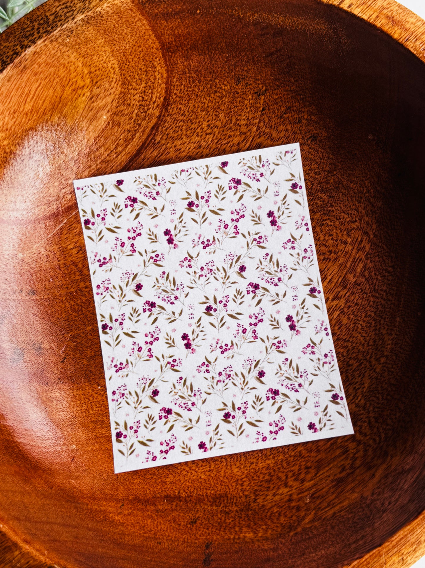 Raspberry & Olive Floral 2 Large Transfer Paper