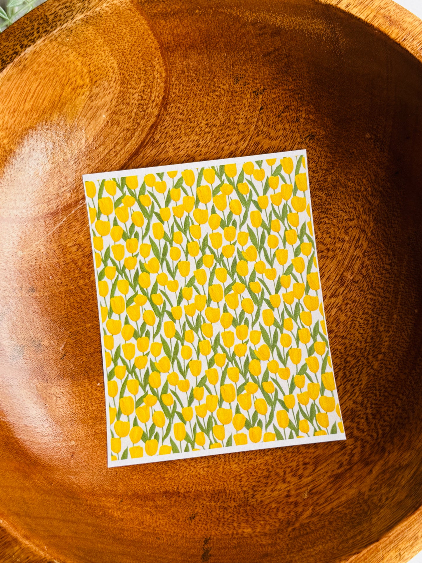 Yellow Tulip Large Transfer Paper