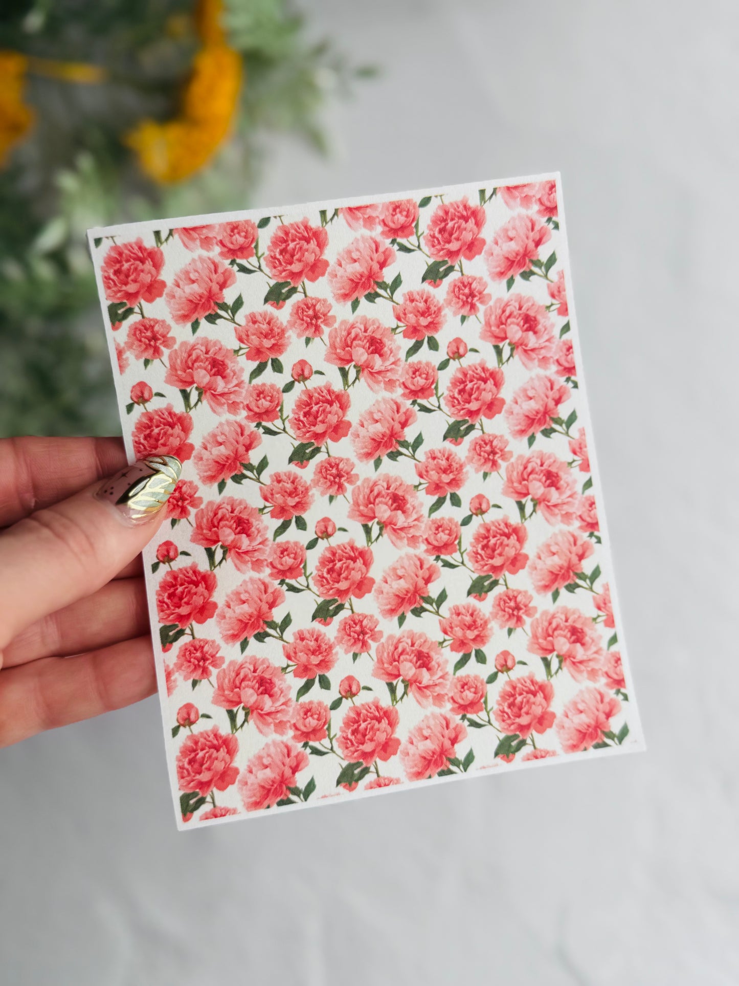 Big Pink Peonies Transfer Paper