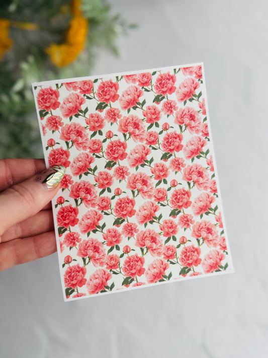 Big Pink Peonies Transfer Paper