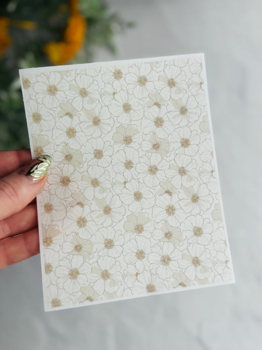 Neutral Anemones Transfer Paper