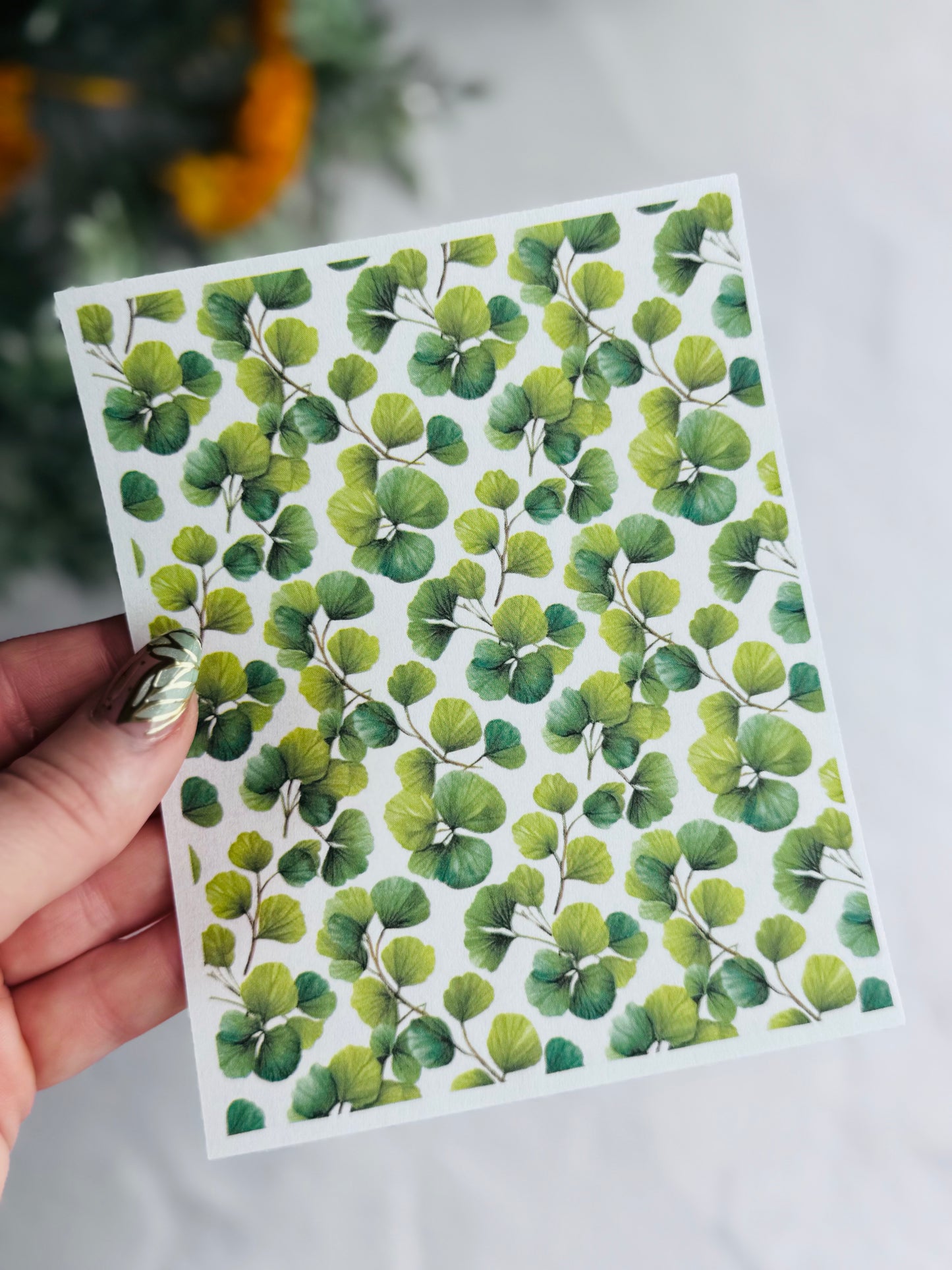 Pressed Clovers 2 Transfer Paper
