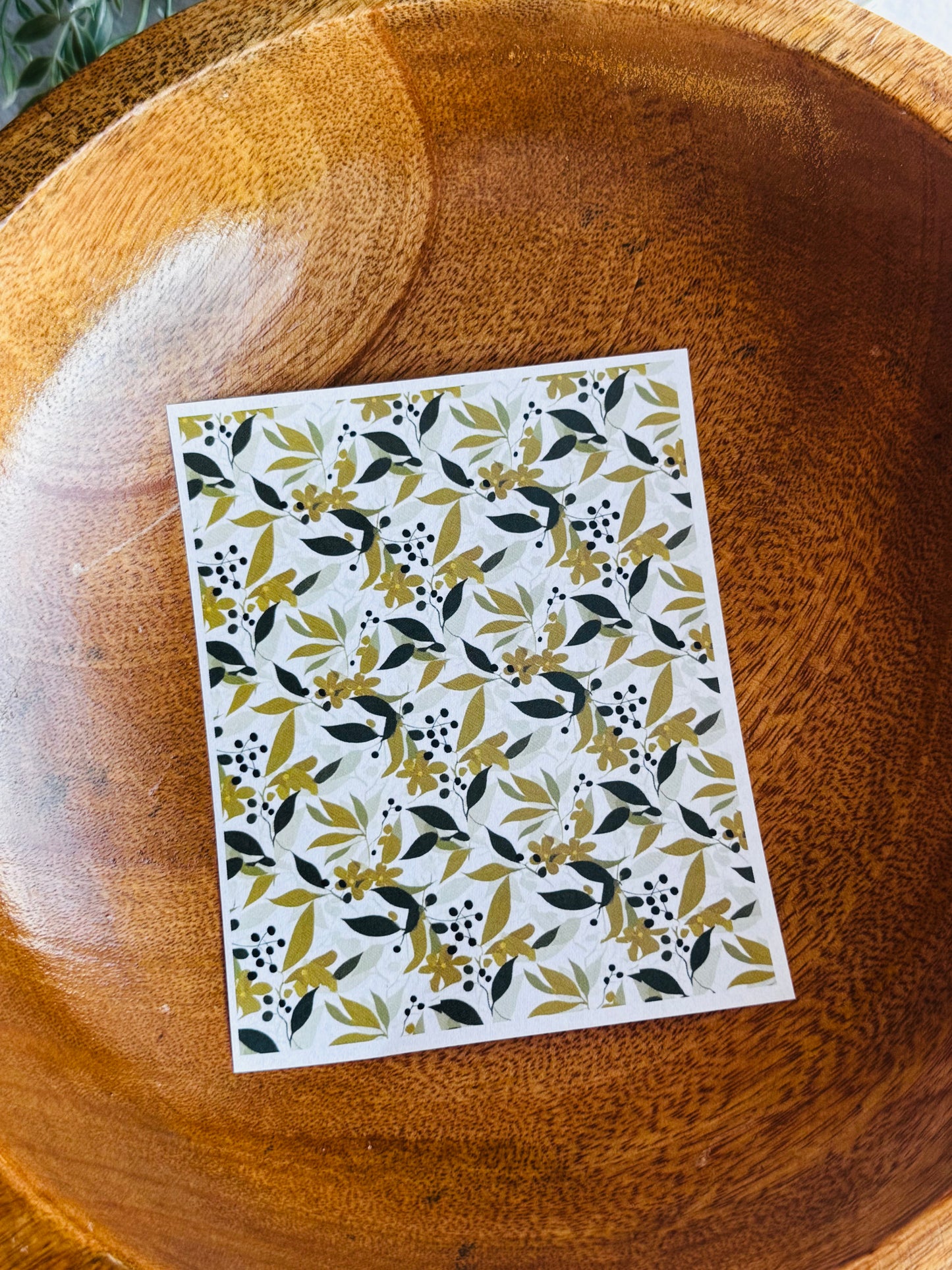 Olive & Berries Transfer Paper