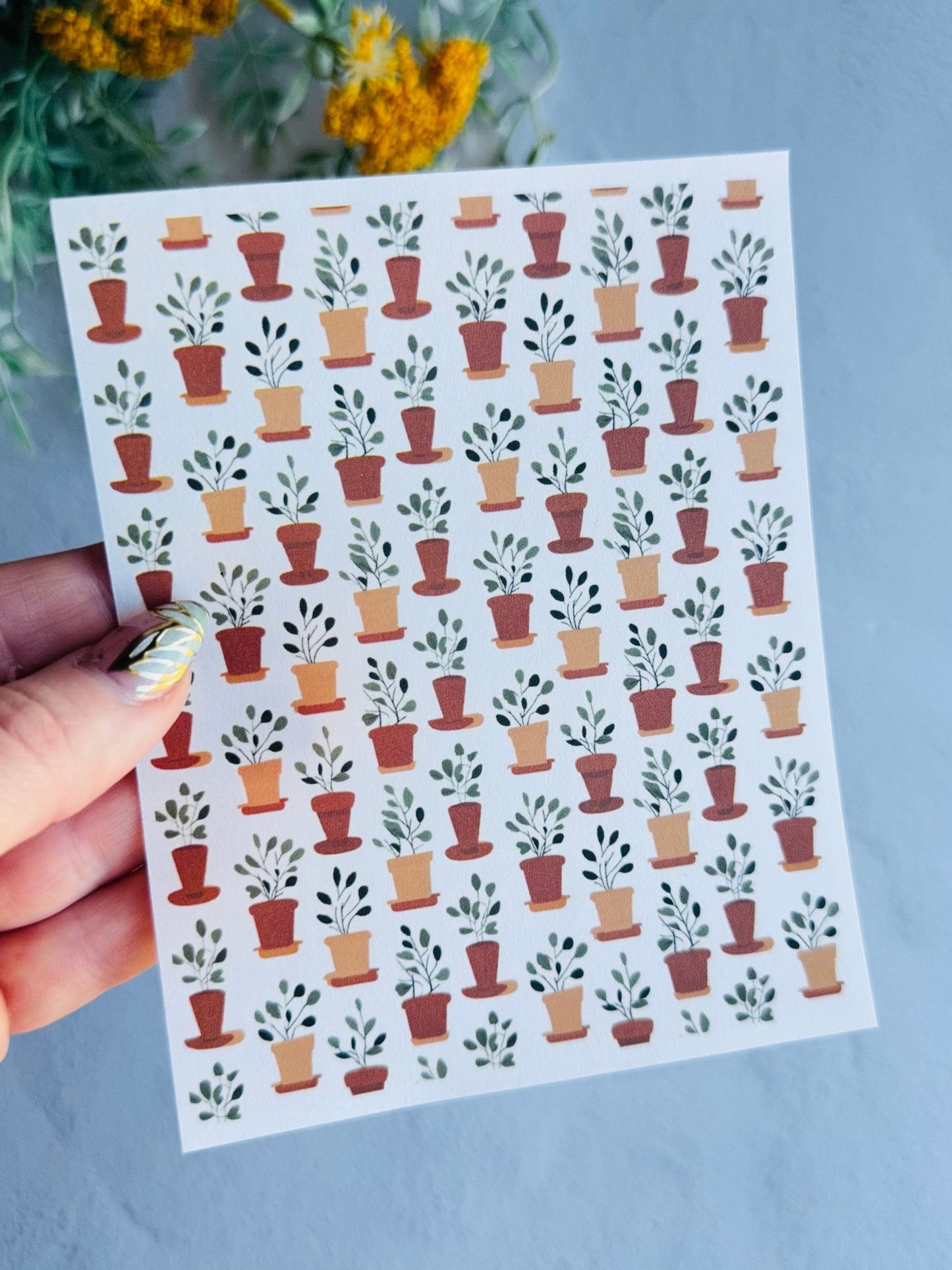 Terracotta Plants Large Transfer Paper